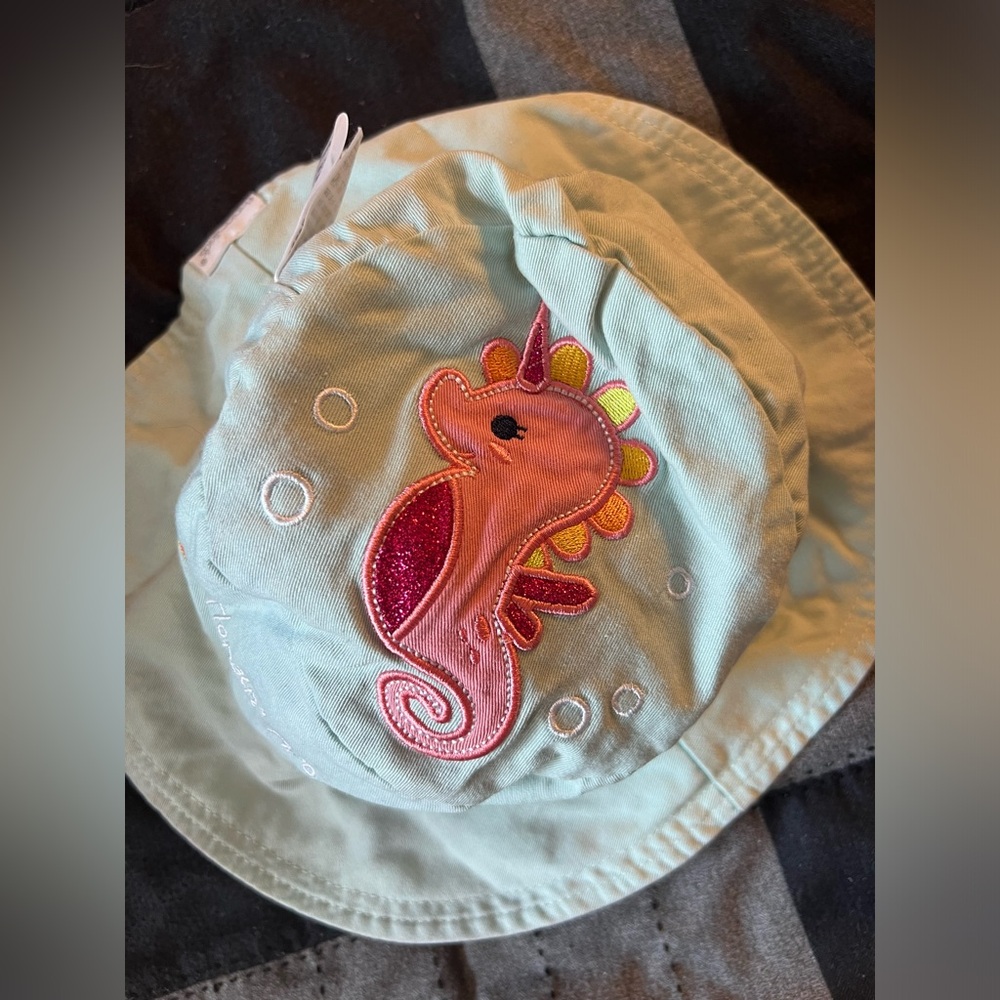 Flapjack reversible hat